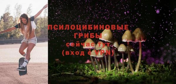 марки nbome Аркадак