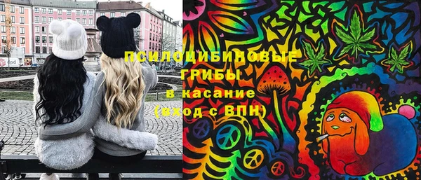 ПСИЛОЦИБИНОВЫЕ ГРИБЫ Арсеньев