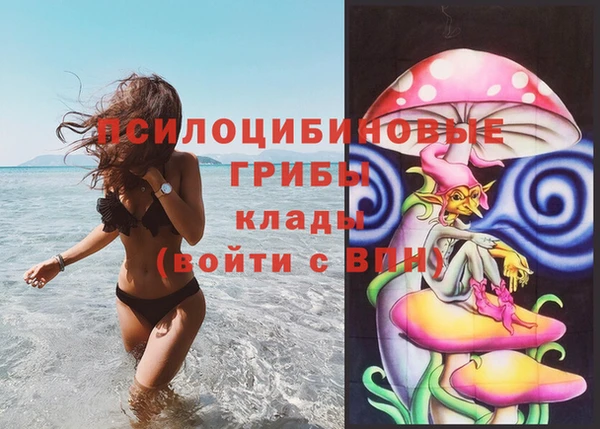 марки nbome Аркадак