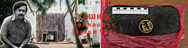 ПСИЛОЦИБИНОВЫЕ ГРИБЫ Арсеньев