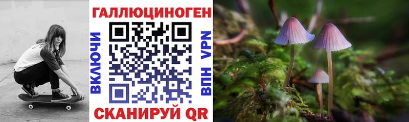 Псилоцибиновые грибы Psilocybine cubensis  Щёлкино 
